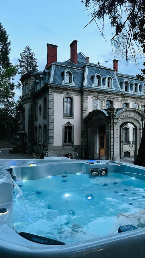 Gite Verriere Du Chateau Burrus Sainte-Croix-aux-Mines エクステリア 写真