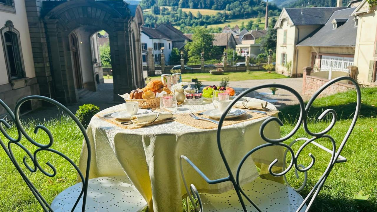 Gite Verriere Du Chateau Burrus Sainte-Croix-aux-Mines エクステリア 写真